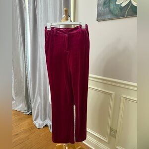 Elegant pink Velvet Pants